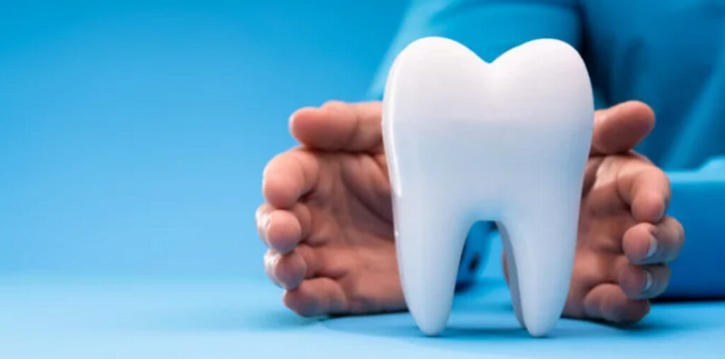 a person protecting a tooth model by his hands