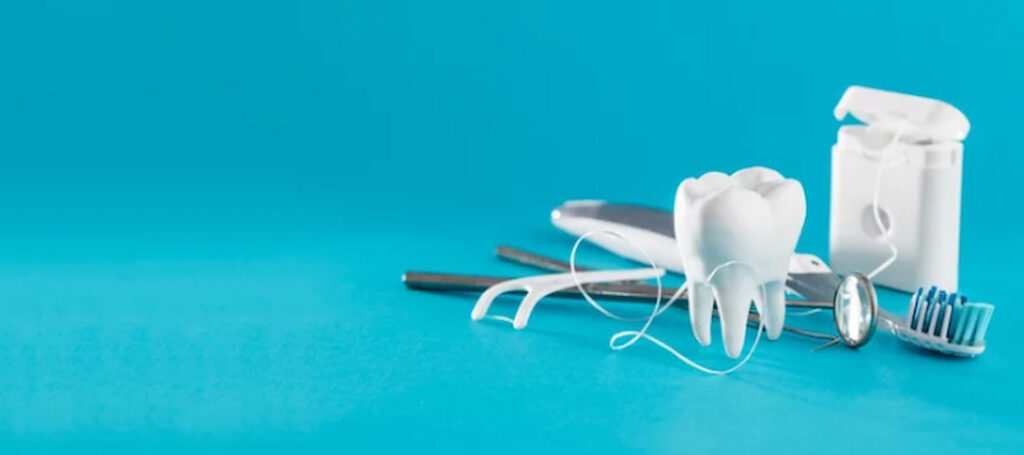 brush, dental floss and tooth model