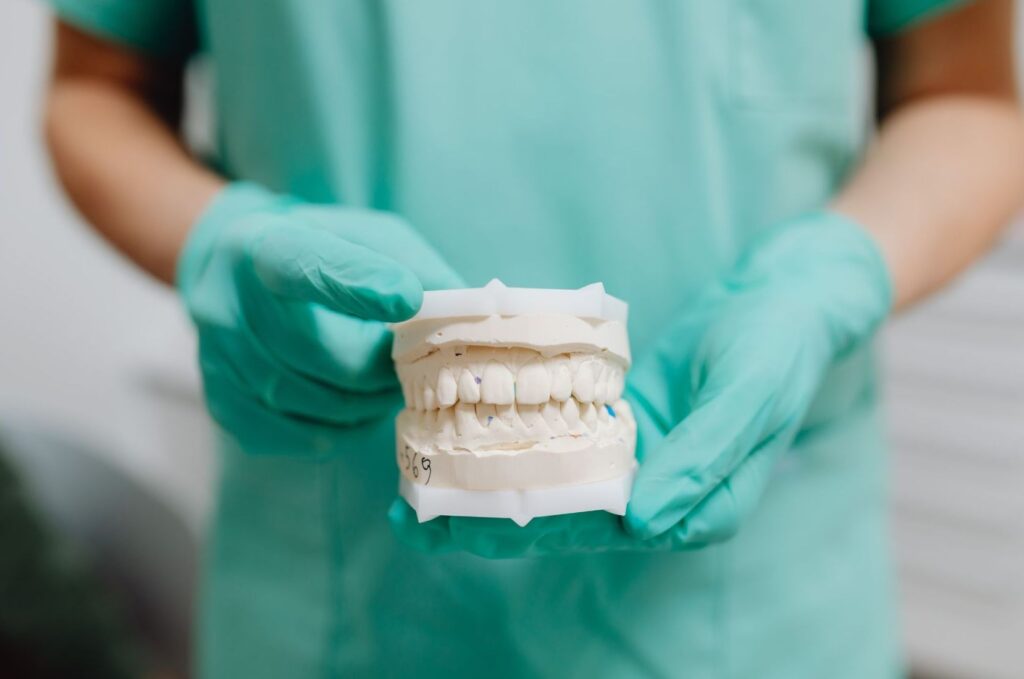 the dentist holding a teeth model